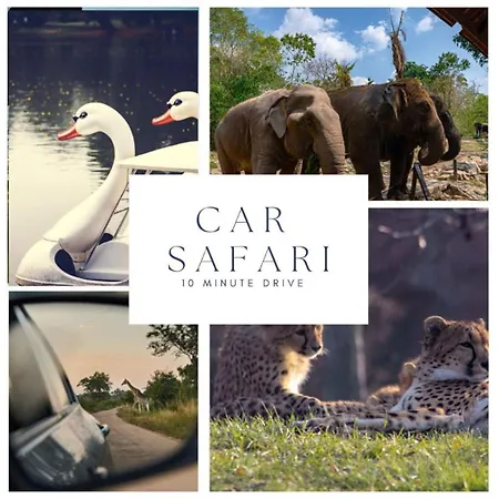 Fast Wifi, Vibrant Home, 10 Min From Efteling 公寓 *