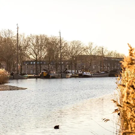 Fast Wifi, Vibrant Home, 10 Min From Efteling 公寓 *