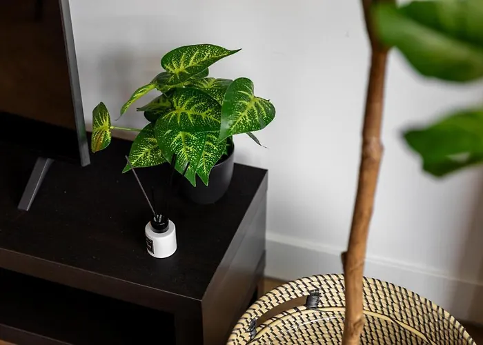 Fast Wifi, Vibrant Home, 10 Min From Efteling