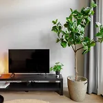 Apartman Fast Wifi, Vibrant Home, 10 Min From Efteling