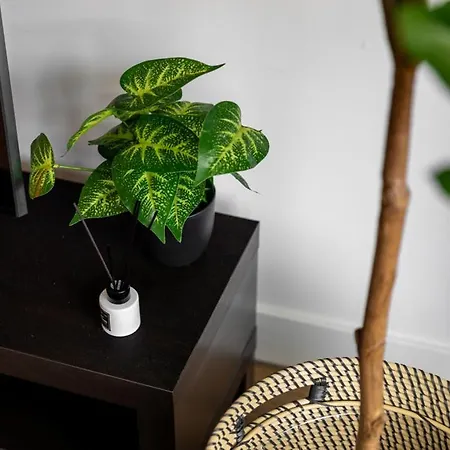 Fast Wifi, Vibrant Home, 10 Min From Efteling