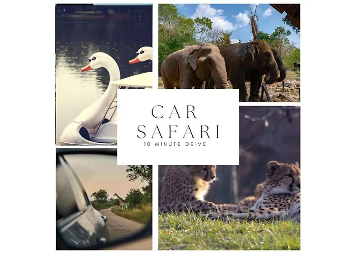 Fast Wifi, Vibrant Home, 10 Min From Efteling Apartman *